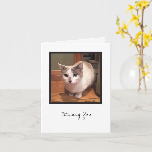 Kit Kit Collectie #1 Kaart (Gele Bloem)