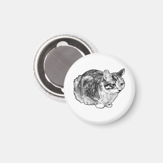 Kitchen Gallery: Tabby with Snow Dots Magneet (Voorkant / Achterkant)