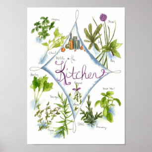 Kitchen Herb Garden Waterverf Basil Poster