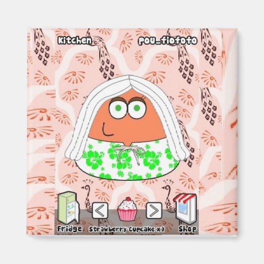 Kitchen of Pou Magneet (Voorkant)