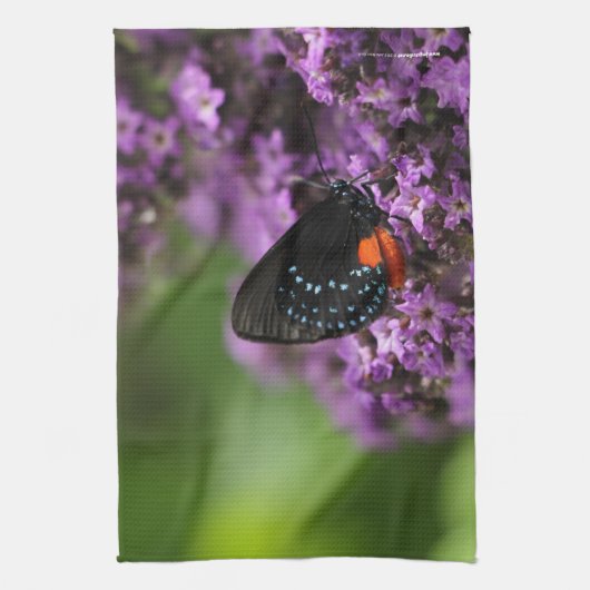 Kitchen Towel-fotovlinder Theedoek (Verticaal)