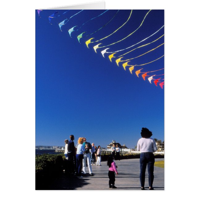 Kite Flying (Voorkant)