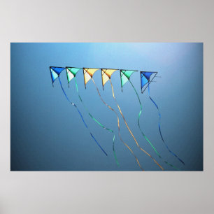 Kites in een rij van 36 x 24 Poster