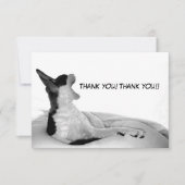 Kitsa Diva: Koningin van haar vrouw Bedankkaart (Voorkant)