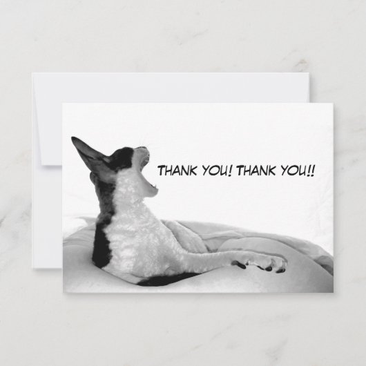 Kitsa Diva: Koningin van haar vrouw Bedankkaart (Voorkant)