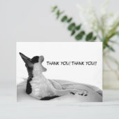 Kitsa Diva: Koningin van haar vrouw Bedankkaart (Staand voorkant)