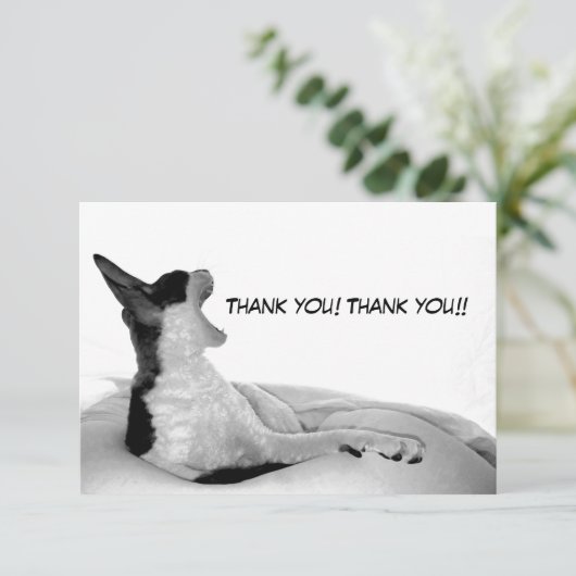 Kitsa Diva: Koningin van haar vrouw Bedankkaart (Staand voorkant)