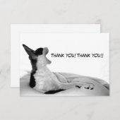 Kitsa Diva: Koningin van haar vrouw Bedankkaart (Voorkant / Achterkant)