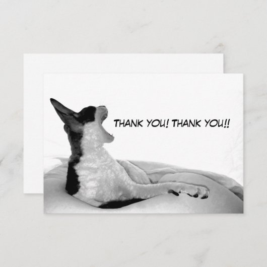 Kitsa Diva: Koningin van haar vrouw Bedankkaart (Voorkant / Achterkant)