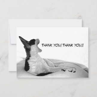 Kitsa Diva: Koningin van haar vrouw Bedankkaart