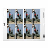 Kitsune キ ツ ネ (Fox) met juweel in de mond Etiket (Full Sheet)