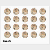 Kitsune & kersenbloesem ronde sticker (Vel)