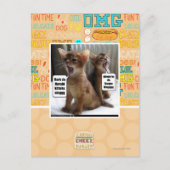 Kitteh carols briefkaart (Voorkant)