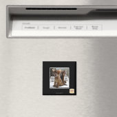 Kitteh carols magneet (Insitu (Vaatwasser))