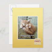 Kitteh regel #231 briefkaart (Voorkant / Achterkant)