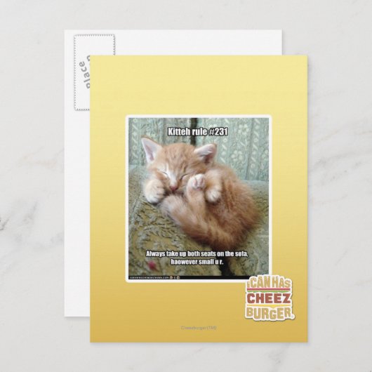 Kitteh regel #231 briefkaart (Voorkant / Achterkant)