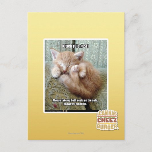 Kitteh regel #231 briefkaart (Voorkant)