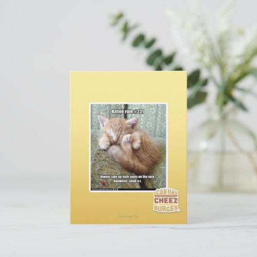 Kitteh regel #231 briefkaart (Staand voorkant)