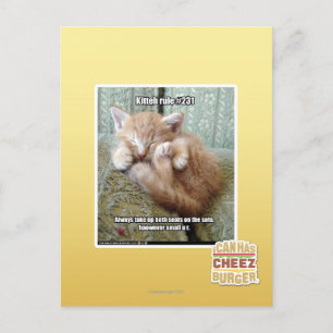 Kitteh regel #231 briefkaart
