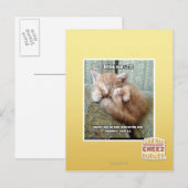 Kitteh regel #231 briefkaart (Voorkant / Achterkant)