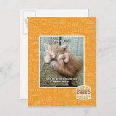 Kitteh regel #231 briefkaart (Voorkant / Achterkant)