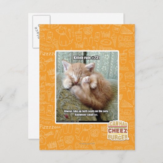 Kitteh regel #231 briefkaart (Voorkant / Achterkant)