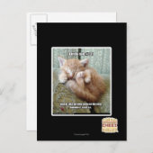 Kitteh regel #231 briefkaart (Voorkant / Achterkant)