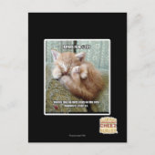 Kitteh regel #231 briefkaart (Voorkant)