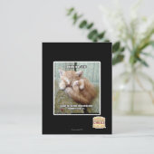 Kitteh regel #231 briefkaart (Staand voorkant)