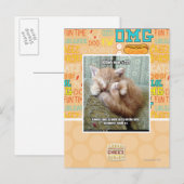 Kitteh regel #231 briefkaart (Voorkant / Achterkant)