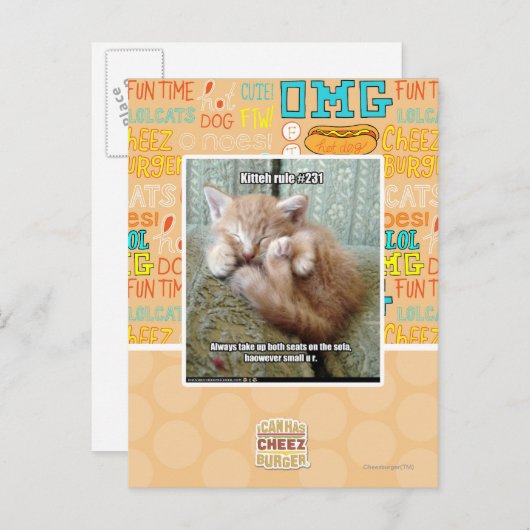Kitteh regel #231 briefkaart (Voorkant / Achterkant)