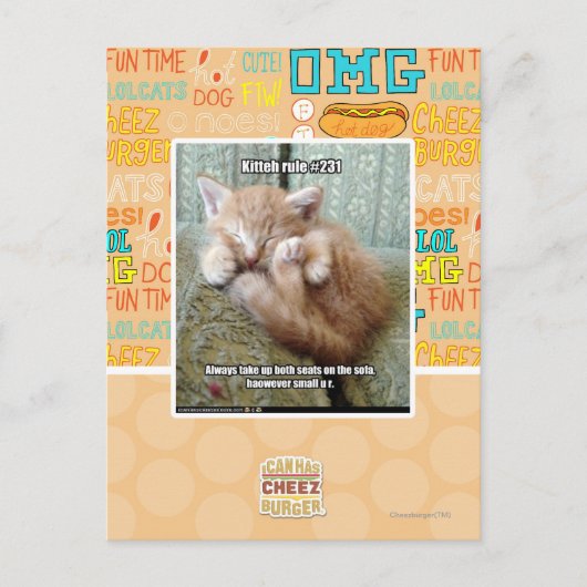 Kitteh regel #231 briefkaart (Voorkant)