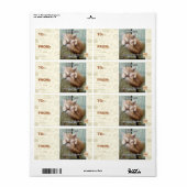 Kitteh regel #231 etiket (Full Sheet)
