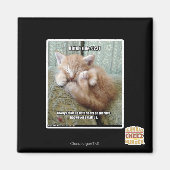 Kitteh regel #231 magneet (Voorkant)