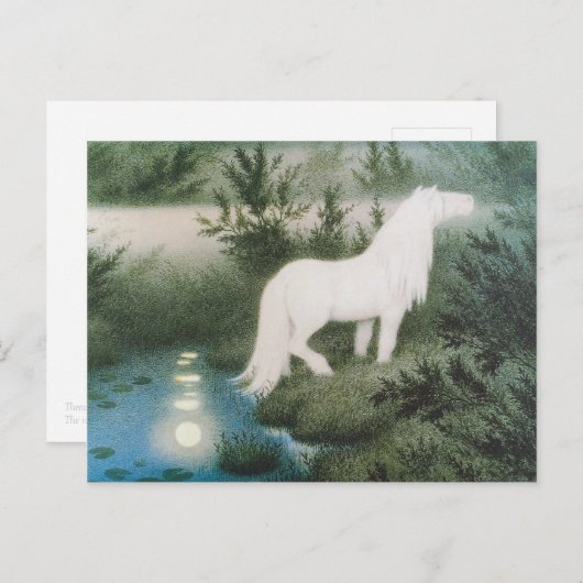 Kittelsen De nek als een wit paard CC0823 Briefkaart (Voorkant / Achterkant)