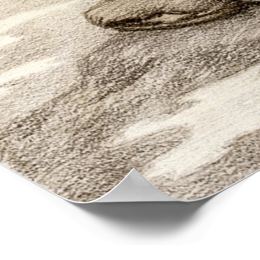 Kittelsen Troll vraagt zich af hoe oud hij is CC00 Poster (Hoek)