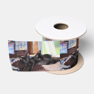 Kittems Satijnen Lint