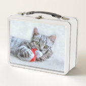 Kitten (Voorkant)