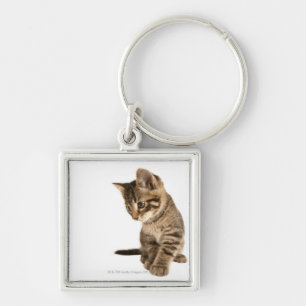 Kitten 2 sleutelhanger