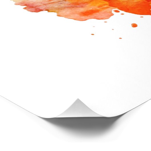 KITTEN 3 PERFECT POSTER (Hoek)