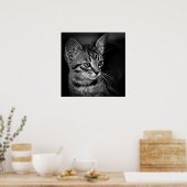 kitten-405331 BLACK WHITE kitten black white cat c Poster (Keuken)