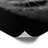 kitten-405331 BLACK WHITE kitten black white cat c Poster (Hoek)