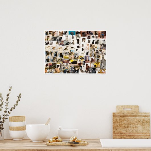 Kitten Academy 1 Jaar Poster (Keuken)