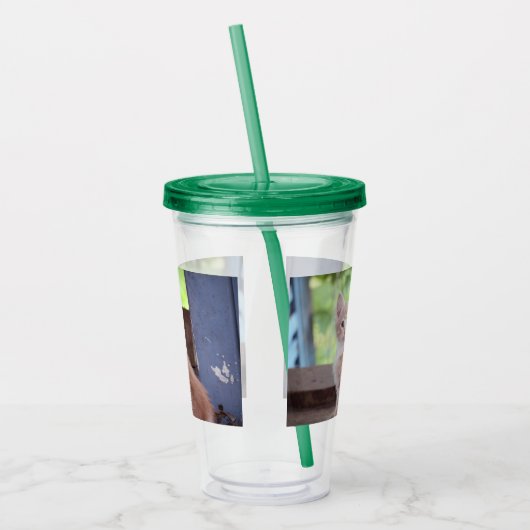 Kitten Acryl Drinkbeker (Links)