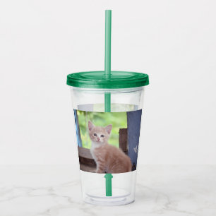 Kitten Acryl Drinkbeker