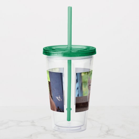 Kitten Acryl Drinkbeker (Rechts)