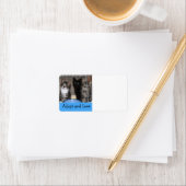 Kitten adopteren en het etiket van het Liefde Adre (Insitu)