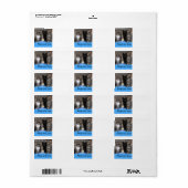 Kitten adopteren en het etiket van het Liefde Adre (Full Sheet)