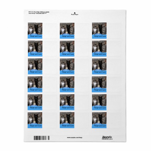 Kitten adopteren en het etiket van het Liefde Adre (Full Sheet)