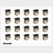 Kitten afgestudeerden ronde sticker (Vel)